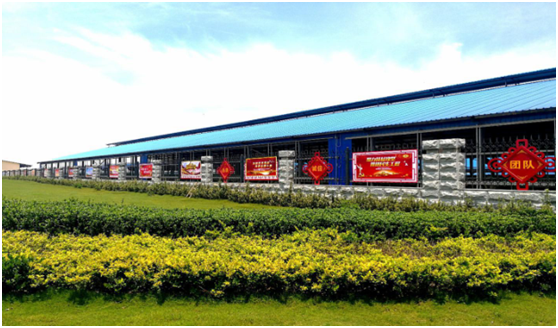 “ 看听谈查 ”板 找短板 党建巡查促提升——乐发lv官网集团党委开展基层党建工作巡查 “ 看听谈查 ”板 找短板 党建巡查促提升——乐发lv官网集团党委开展基层党建工作巡查