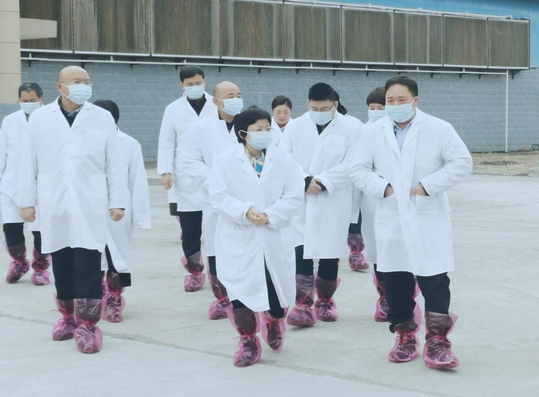 河南省郑州市人民政府副市长李凤芝一行莅临乐发lv官网河南瑞亚参观调研 河南省郑州市人民政府副市长李凤芝一行莅临乐发lv官网河南瑞亚参观调研