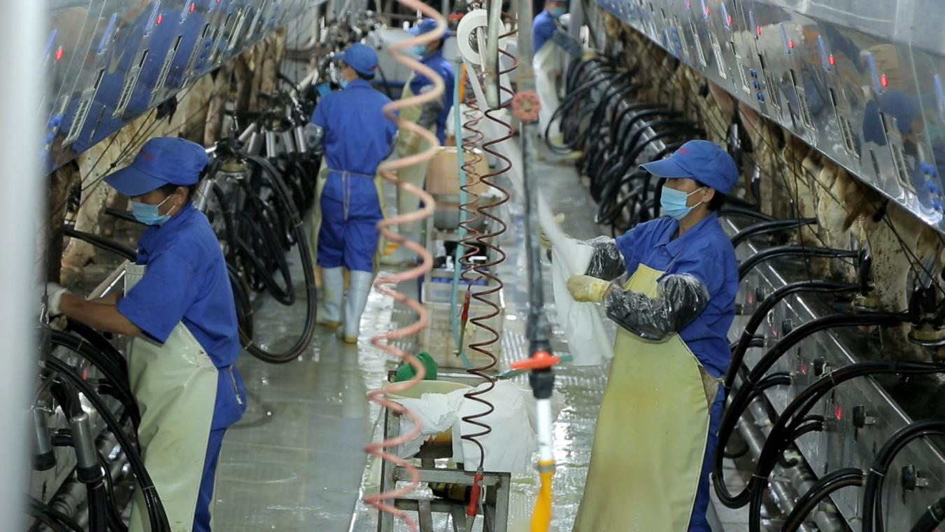 乐发lv官网丨河南农业大学党委副书记、校长介晓磊一行莅临乐发lv官网河南瑞亚参观调研 乐发lv官网丨河南农业大学党委副书记、校长介晓磊一行莅临乐发lv官网河南瑞亚参观调研