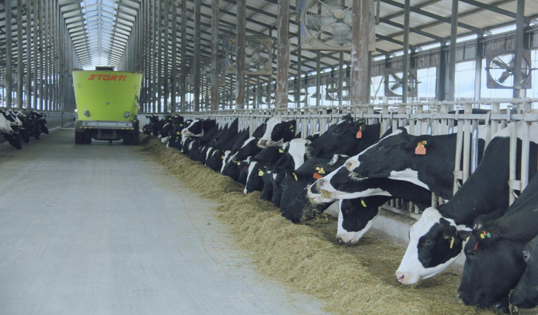 北京大学南南合作与发展学院教授、全球伙伴关系主任周咏梅一行莅临乐发lv官网平舆瑞亚牧业参观调研 北京大学南南合作与发展学院教授、全球伙伴关系主任周咏梅一行莅临乐发lv官网平舆瑞亚牧业参观调研