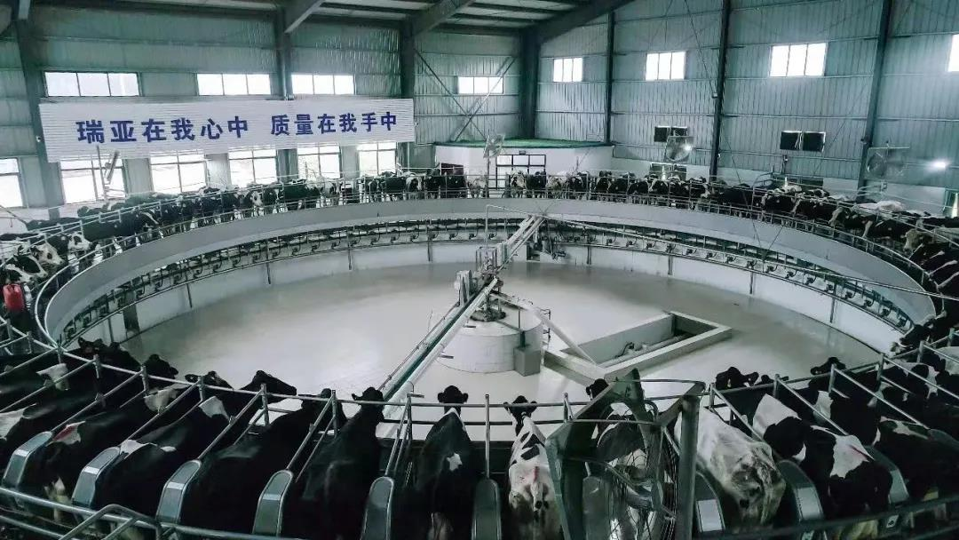 乐发lv官网丨驻马店市遂平县政协党组书记、主席张卫东一行莅临乐发lv官网鲁山瑞亚牧场参观 乐发lv官网丨驻马店市遂平县政协党组书记、主席张卫东一行莅临乐发lv官网鲁山瑞亚牧场参观