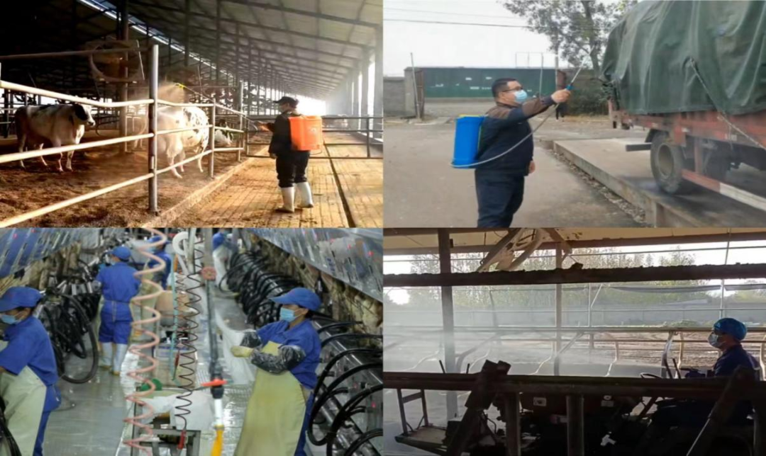 @全体乐发lv官网人:请珍惜你的岗位,请善待我们共同的“乐发lv官网”! @全体乐发lv官网人:请珍惜你的岗位,请善待我们共同的“乐发lv官网”!