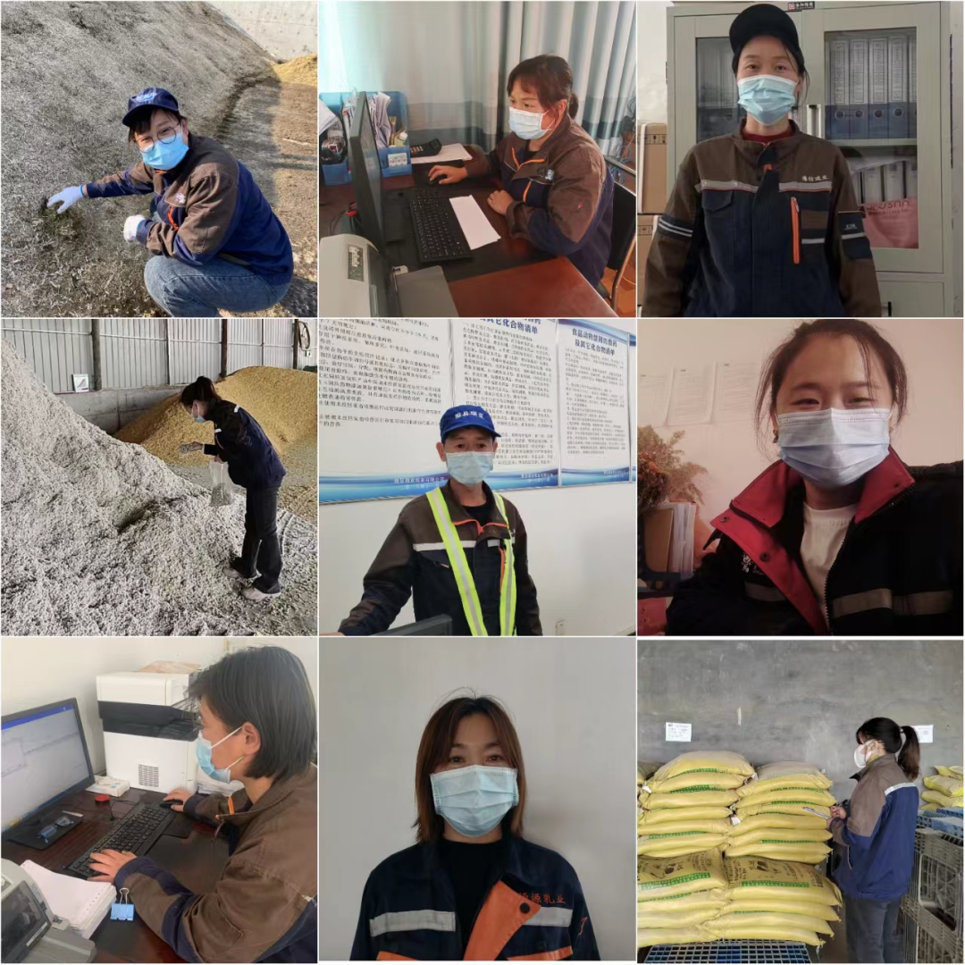 乐发lv官网丨点点微光汇星河——养殖事业部抗疫保生产侧记 乐发lv官网丨点点微光汇星河——养殖事业部抗疫保生产侧记