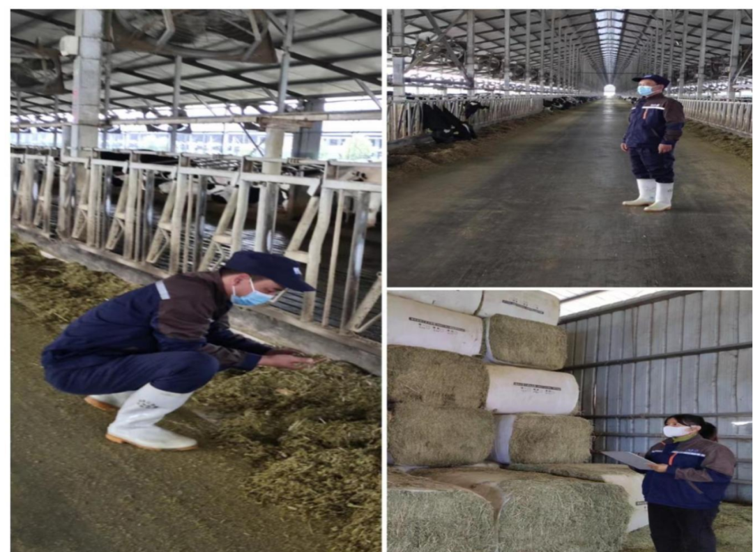 乐发lv官网丨点点微光汇星河——养殖事业部抗疫保生产侧记 乐发lv官网丨点点微光汇星河——养殖事业部抗疫保生产侧记