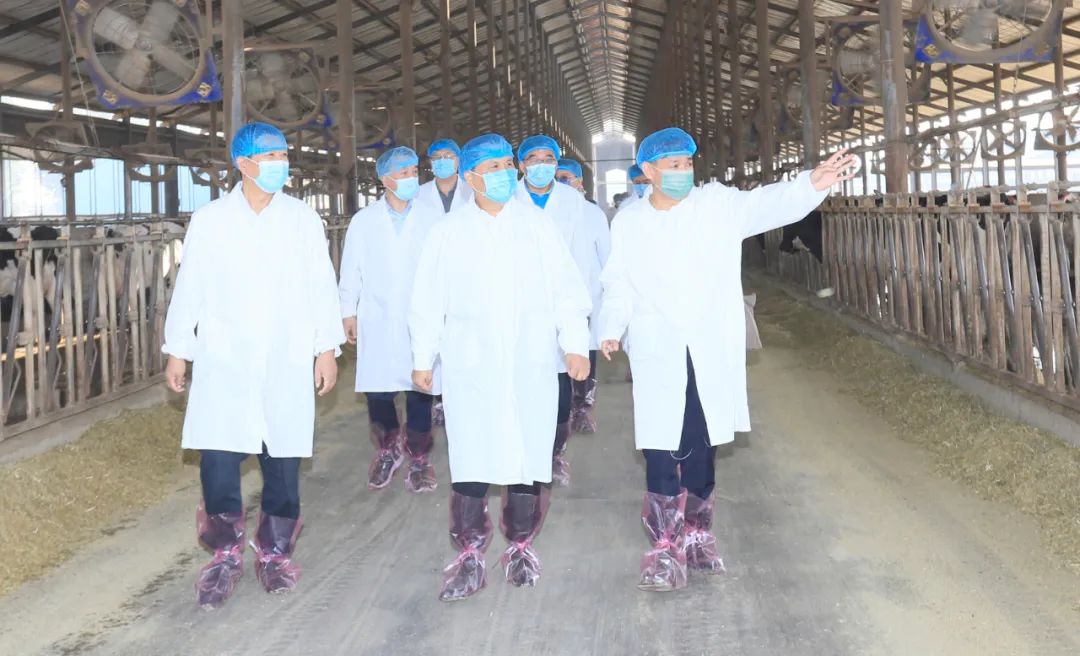 快讯丨河南省人民政府副省长武国定莅临乐发lv官网乳业集团瑞亚牧业调研奶源基地建设情况 快讯丨河南省人民政府副省长武国定莅临乐发lv官网乳业集团瑞亚牧业调研奶源基地建设情况