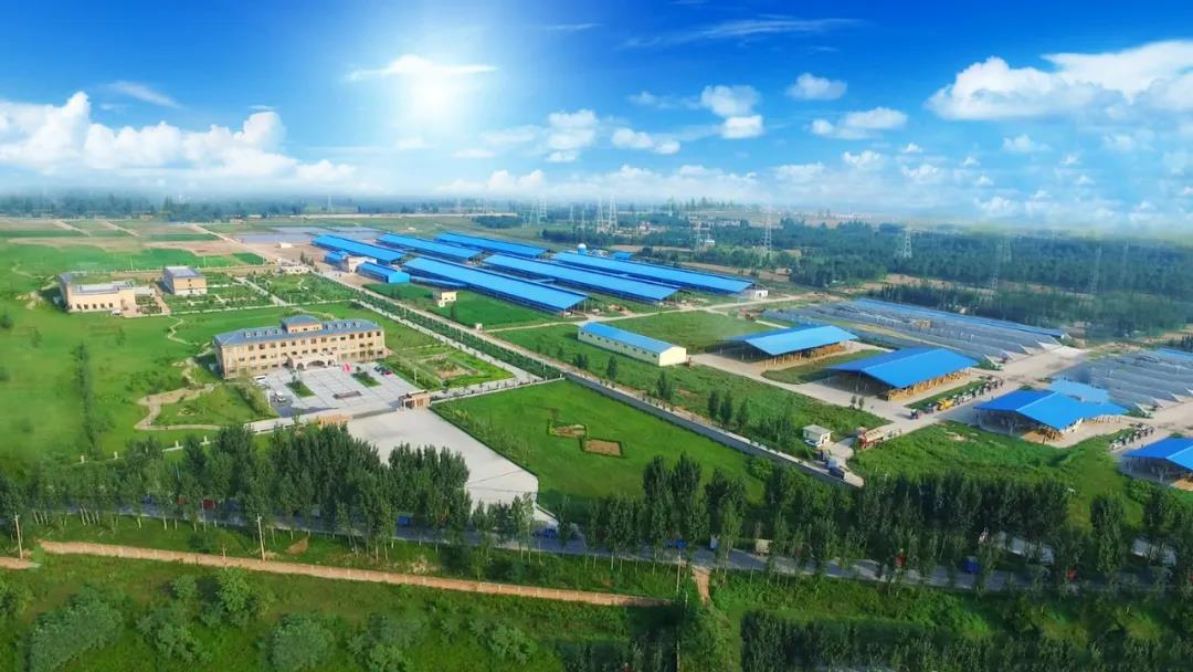 喜讯 | 乐发lv官网一座自有牧场入选河南省“DHI测定优秀牧场” 喜讯 | 乐发lv官网一座自有牧场入选河南省“DHI测定优秀牧场”