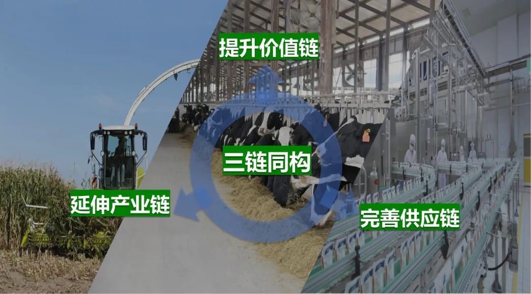 佳木斯市招商考察团莅临乐发lv官网考察座谈 佳木斯市招商考察团莅临乐发lv官网考察座谈
