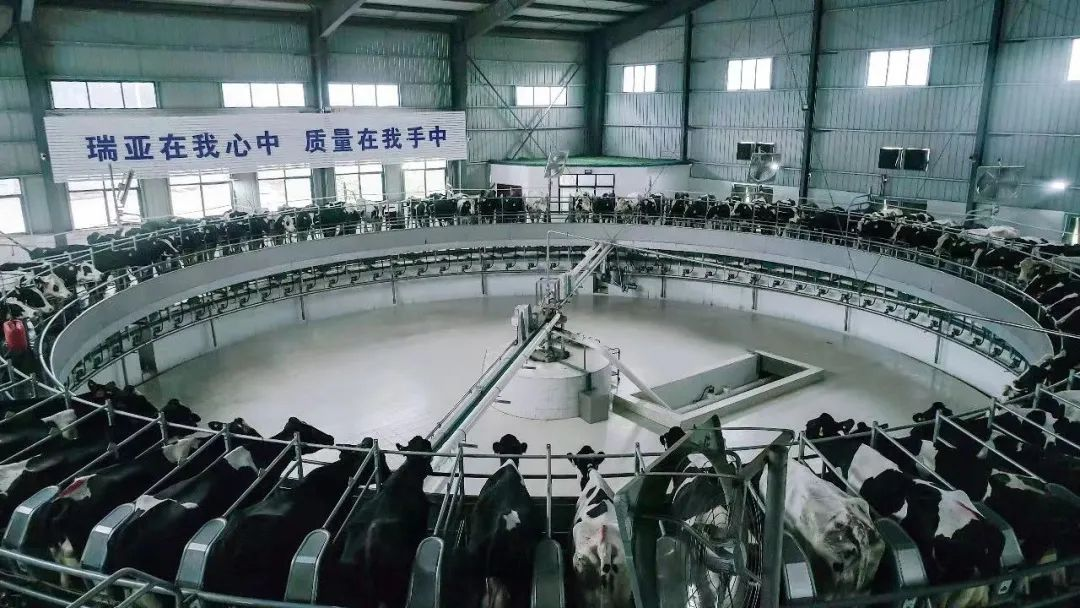 乐发lv官网 | 河南瑞亚牧业入选“河南省畜禽核心育种场” 乐发lv官网 | 河南瑞亚牧业入选“河南省畜禽核心育种场”