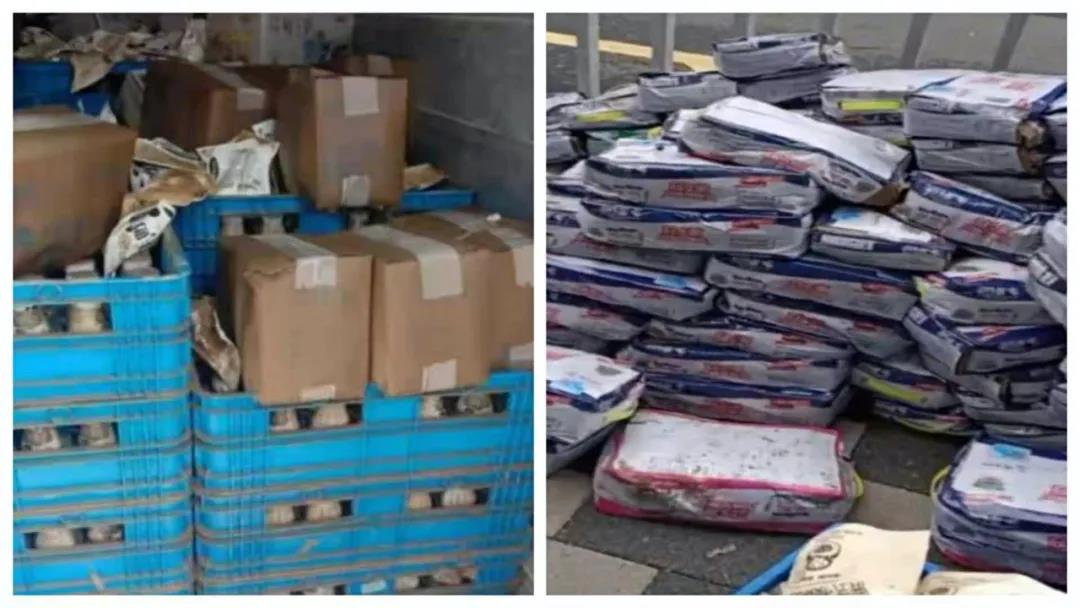 【乳报·聚焦】“豫”难而上的中原牛人“太中了”! 【乳报·聚焦】“豫”难而上的中原牛人“太中了”!