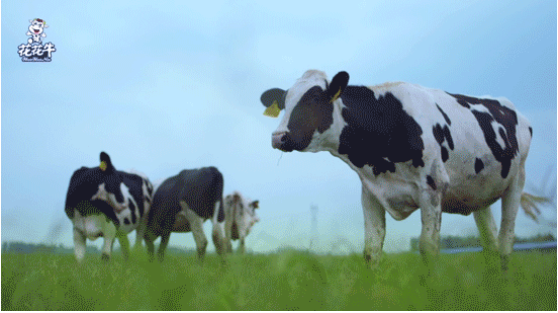 河南省高级人民法院院长胡道才一行莅临乐发lv官网乳业集团开展“万人助万企”活动 助力企业发展 河南省高级人民法院院长胡道才一行莅临乐发lv官网乳业集团开展“万人助万企”活动 助力企业发展