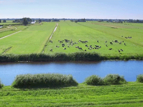 春风吹 战鼓擂——不负春天好时光 春风吹 战鼓擂——不负春天好时光