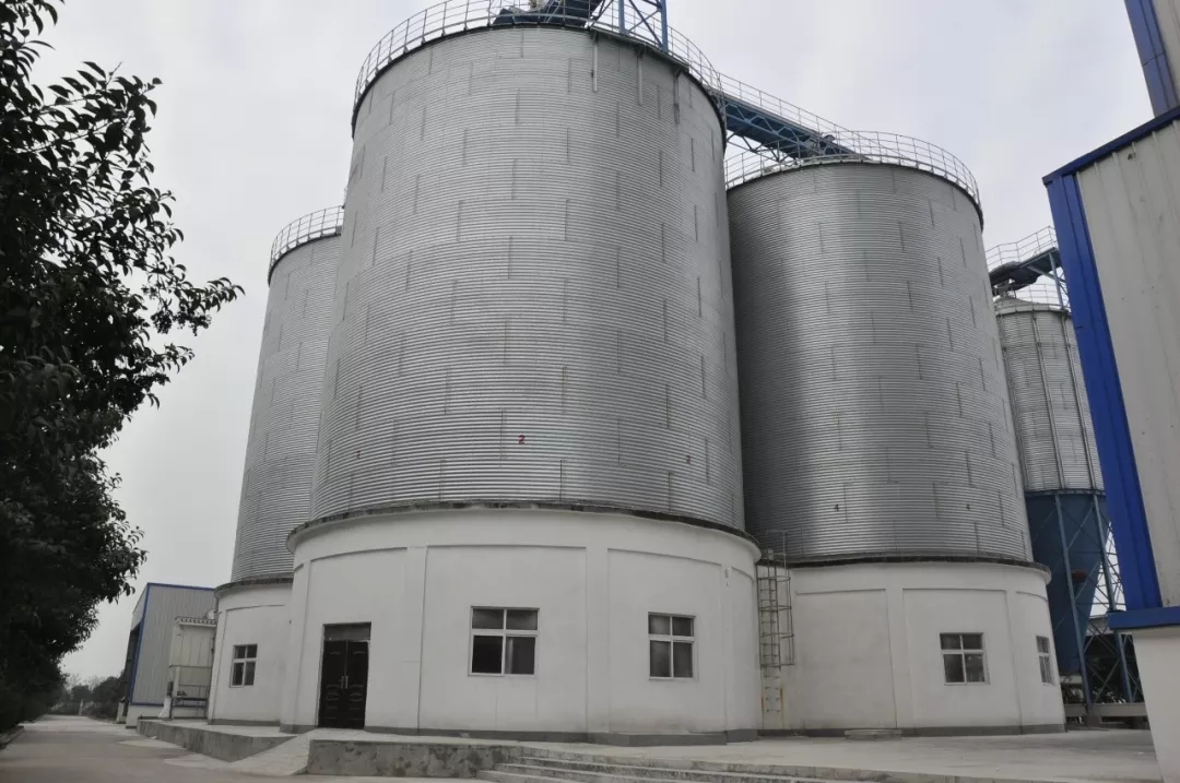 第31届中原畜牧业交易博览会 || 乐发lv官网乳业集团获“河南省畜牧行业——最具影响力品牌”奖 第31届中原畜牧业交易博览会 || 乐发lv官网乳业集团获“河南省畜牧行业——最具影响力品牌”奖