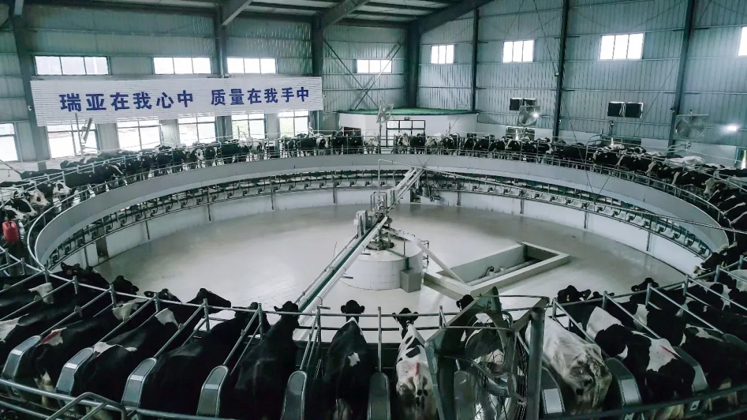 第31届中原畜牧业交易博览会 || 乐发lv官网乳业集团获“河南省畜牧行业——最具影响力品牌”奖 第31届中原畜牧业交易博览会 || 乐发lv官网乳业集团获“河南省畜牧行业——最具影响力品牌”奖