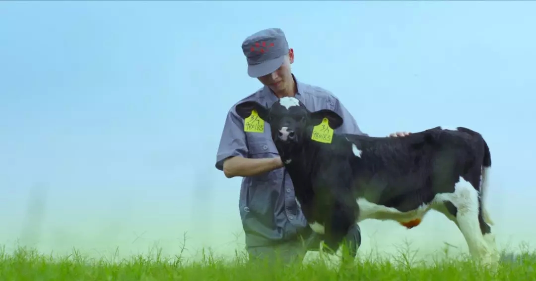 喜报 | 国家市场监管总局抽检,乐发lv官网等112家企业乳品抽检全部合格 喜报 | 国家市场监管总局抽检,乐发lv官网等112家企业乳品抽检全部合格