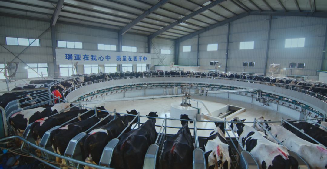 乐发lv官网集团旗下六家公司入选省农业产业化重点龙头企业名单 乐发lv官网集团旗下六家公司入选省农业产业化重点龙头企业名单