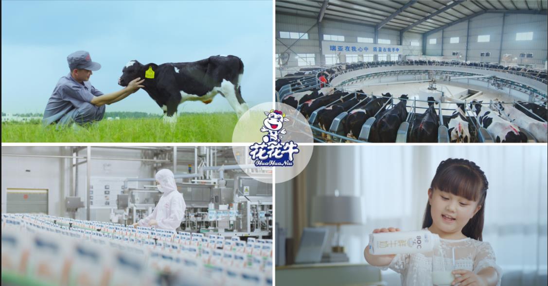 乐发lv官网乳业集团——优秀非公有制行业领军型企业 乐发lv官网乳业集团——优秀非公有制行业领军型企业