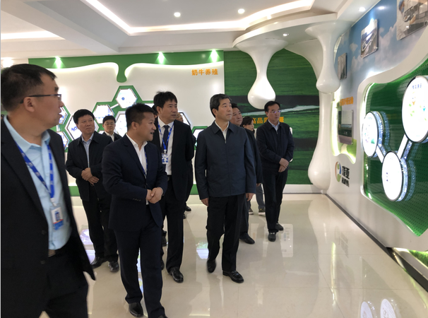 河南省委副书记、省长陈润儿一行莅临 乐发lv官网集团鲁山瑞亚牧业有限公司视察调研 河南省委副书记、省长陈润儿一行莅临 乐发lv官网集团鲁山瑞亚牧业有限公司视察调研