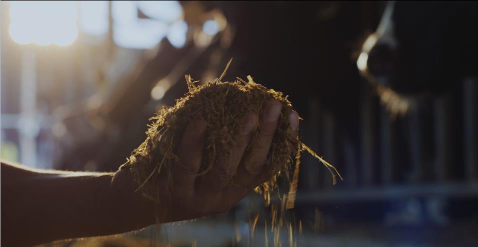 又双叒叕获奖啦!乐发lv官网荣获“乳品质量安全管理 优秀企业” 又双叒叕获奖啦!乐发lv官网荣获“乳品质量安全管理 优秀企业”