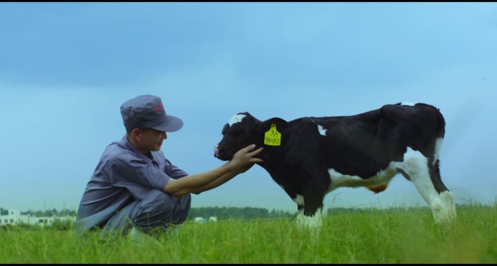 又双叒叕获奖啦!乐发lv官网荣获“乳品质量安全管理 优秀企业” 又双叒叕获奖啦!乐发lv官网荣获“乳品质量安全管理 优秀企业”