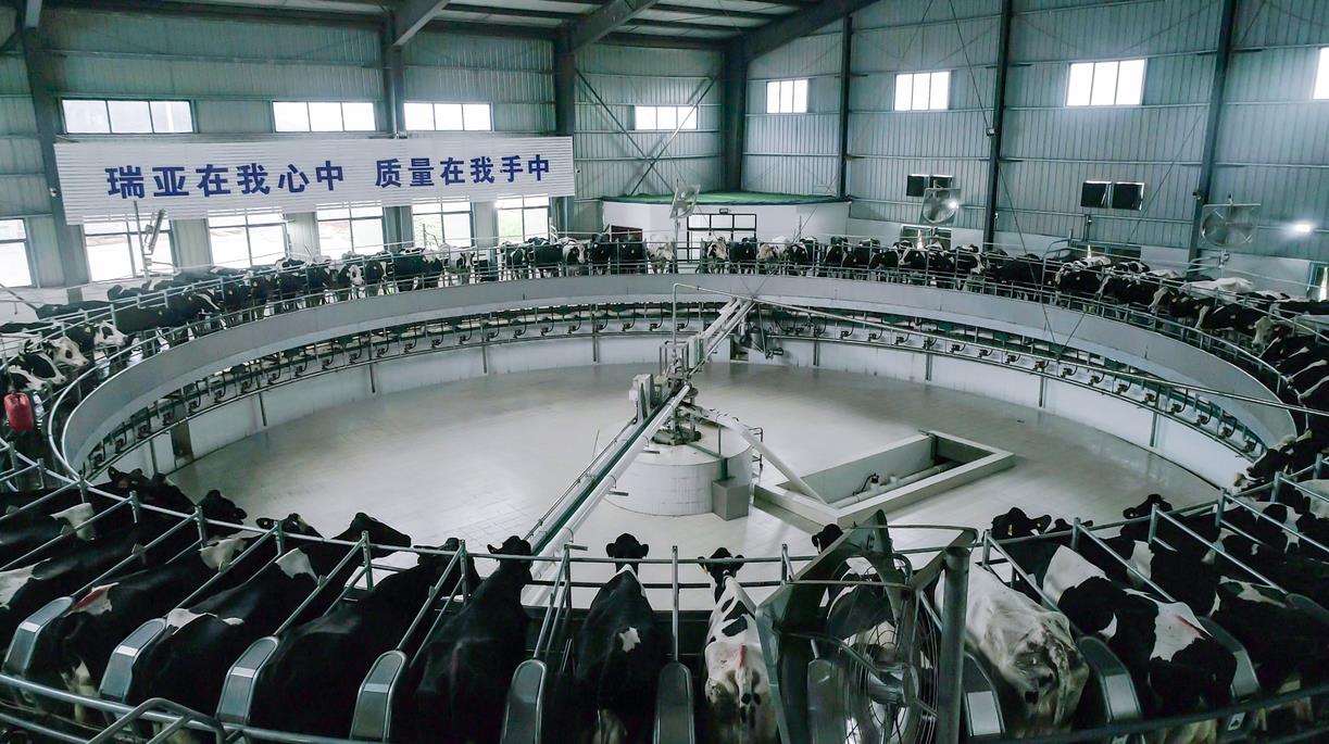 又双叒叕获奖啦!乐发lv官网荣获“乳品质量安全管理 优秀企业” 又双叒叕获奖啦!乐发lv官网荣获“乳品质量安全管理 优秀企业”