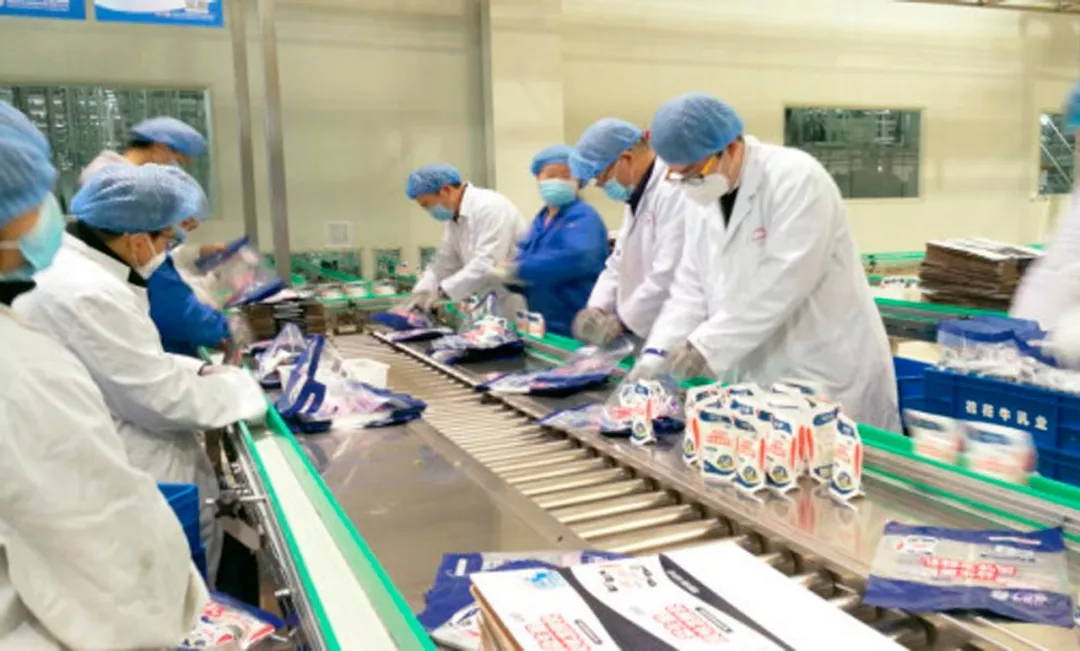 快讯丨河南省副省长武国定莅临乐发lv官网乳业集团调研重点保障企业复工复产情况 快讯丨河南省副省长武国定莅临乐发lv官网乳业集团调研重点保障企业复工复产情况