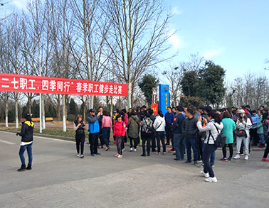 2017乐发lv官网健步走