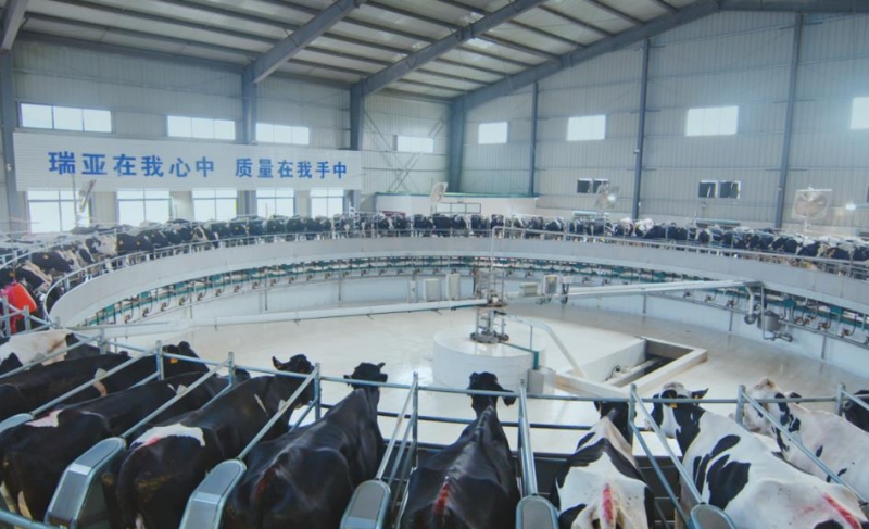 ҵ޹˾6000ͷţֳĿ Ӱ۹ڲڶιʾ