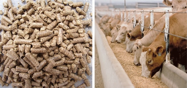 ףغȫ޹˾ʳƷȫ ϵ֤֤