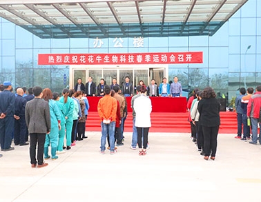 ַlvƼ޹˾ٰ2016괺˶